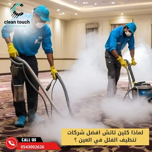 لماذا كلين تاتش افضل شركات تنظيف الفلل في العين ؟